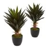 20" Potted Agave Plant, 2ct. -Michaels Shop D251823S 1