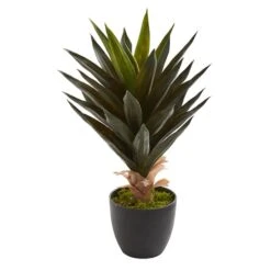20" Potted Agave Plant, 2ct. -Michaels Shop D251823S 2