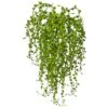 15" Senecio Succulent, 3ct. -Michaels Shop D251825S 1