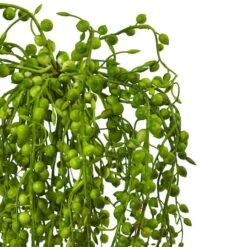 15" Senecio Succulent, 3ct. -Michaels Shop D251825S 2