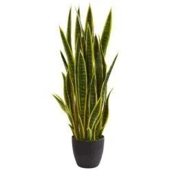 3ft. Potted Green & Yellow Snake Plant -Michaels Shop D251827S 11 1