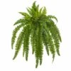 35” Boston Fern Plant, 2ct. -Michaels Shop D251829S 11