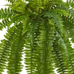 35” Boston Fern Plant, 2ct. -Michaels Shop D251829S 13