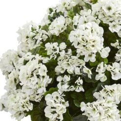 2.5ft. White Geranium In Slate Planter -Michaels Shop D251832S 12