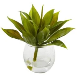 5.75" Mini Agave Succulent In Glass Vase, 3ct. 8 5.75" Mini Agave Succulent In Glass Vase, 3ct. -Michaels Shop D251838S 2