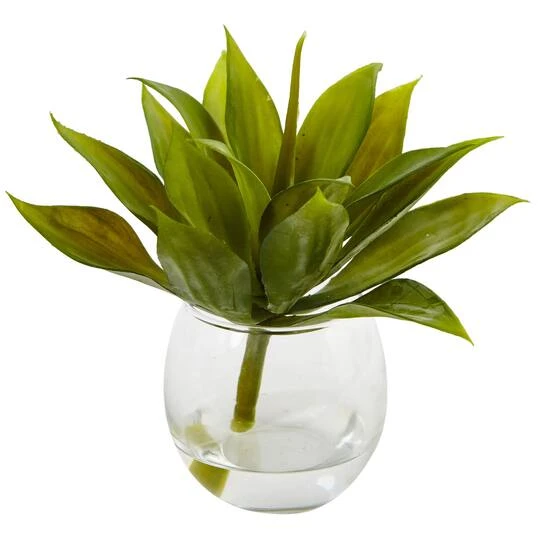 5.75" Mini Agave Succulent In Glass Vase, 3ct. 5 5.75" Mini Agave Succulent In Glass Vase, 3ct. - Image 3