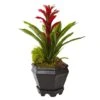 16.5" Bromeliad In Black Hexagon Planter -Michaels Shop D251841S 1