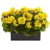 13" Yellow Geranium In Rectangular Planter 1 13" Yellow Geranium In Rectangular Planter -Michaels Shop D251844S 11