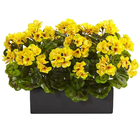 13" Yellow Geranium In Rectangular Planter 3 13" Yellow Geranium In Rectangular Planter