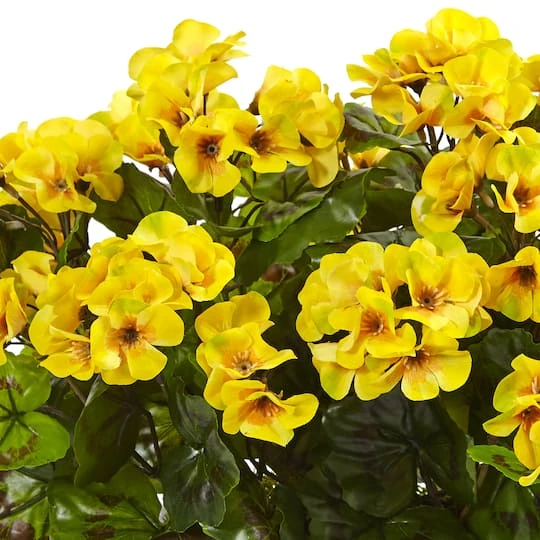 13" Yellow Geranium In Rectangular Planter 5 13" Yellow Geranium In Rectangular Planter - Image 3