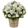 22" Geranium In Farmhouse Planter -Michaels Shop D251845S 11