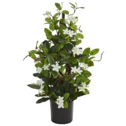 24” Potted White Stephanotis Climbing Plant 9 24” Potted White Stephanotis Climbing Plant -Michaels Shop D251851S 11 1