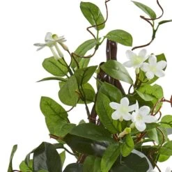 24” Potted White Stephanotis Climbing Plant 10 24” Potted White Stephanotis Climbing Plant -Michaels Shop D251851S 12