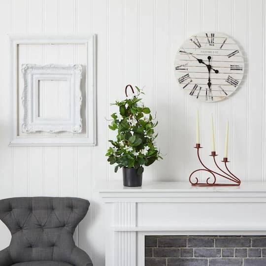 24” Potted White Stephanotis Climbing Plant 8 24” Potted White Stephanotis Climbing Plant - Image 6