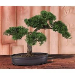 16" Potted Cedar Bonsai Plant -Michaels Shop D251871S 2