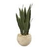 2.5ft. Snake Plant In Sand Colored Planter -Michaels Shop D251873S 1