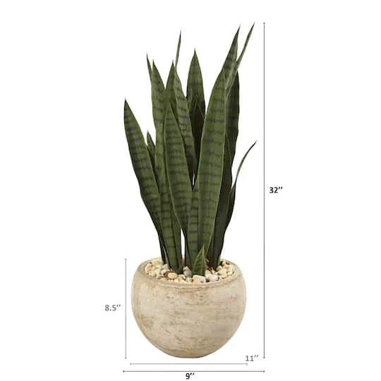 2.5ft. Snake Plant In Sand Colored Planter 5 2.5ft. Snake Plant In Sand Colored Planter - Image 3