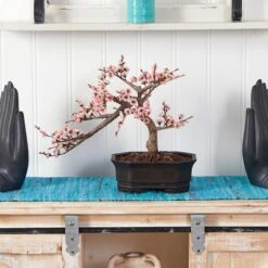 15" Potted Cherry Blossom Bonsai Silk Tree -Michaels Shop D251876S 12