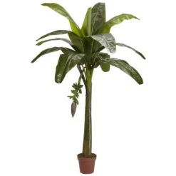 6ft. Potted Banana Tree -Michaels Shop D251921S 11 1
