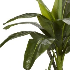 6ft. Potted Banana Tree -Michaels Shop D251921S 13