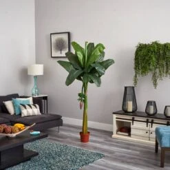 6ft. Potted Banana Tree -Michaels Shop D251921S 15