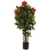 4ft. Potted Red & Green Hibiscus Tree -Michaels Shop D251947S 11