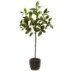 2.5ft. Topiary In Decorative Planter -Michaels Shop D251960S 11