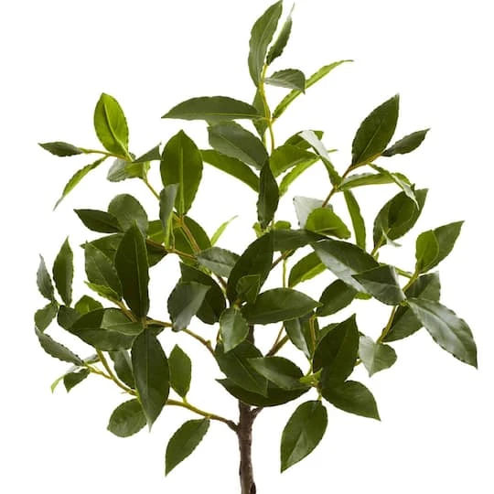 2.5ft. Topiary In Decorative Planter 5 2.5ft. Topiary In Decorative Planter - Image 3