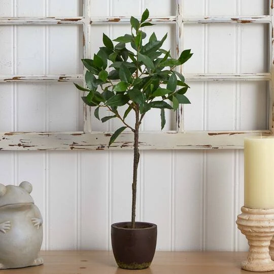 2.5ft. Topiary In Decorative Planter 8 2.5ft. Topiary In Decorative Planter - Image 6