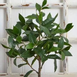 2.5ft. Topiary In Decorative Planter 15 2.5ft. Topiary In Decorative Planter -Michaels Shop D251960S 16