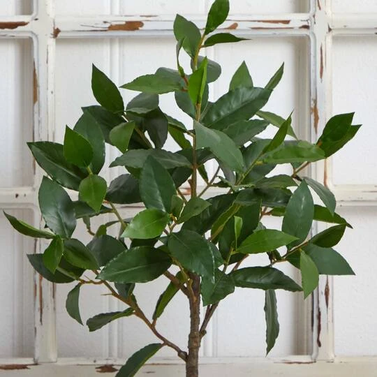 2.5ft. Topiary In Decorative Planter 9 2.5ft. Topiary In Decorative Planter - Image 7