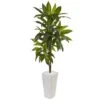 3ft. Dracaena In White Tower Planter -Michaels Shop D252134S 1