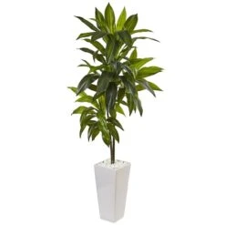 3ft. Dracaena In White Tower Planter