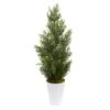 2.5ft. Mini Cedar Pine Tree In Decorative Planter