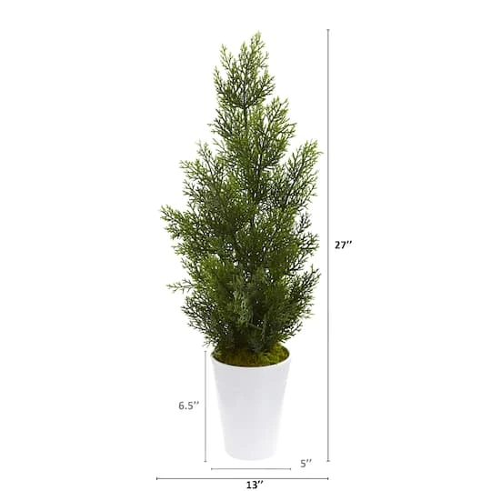 2.5ft. Mini Cedar Pine Tree In Decorative Planter 5 2.5ft. Mini Cedar Pine Tree In Decorative Planter - Image 3
