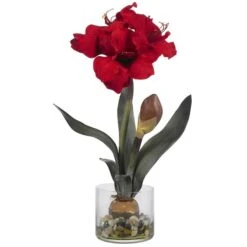 20'' Amaryllis In Round Vase