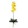 Yellow Moth Orchid Stem, 6ct. -Michaels Shop D252202S 1