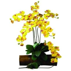 Yellow Moth Orchid Stem, 6ct. -Michaels Shop D252202S 2