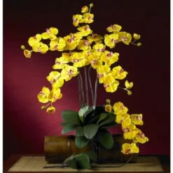 Yellow Moth Orchid Stem, 6ct. -Michaels Shop D252202S 3