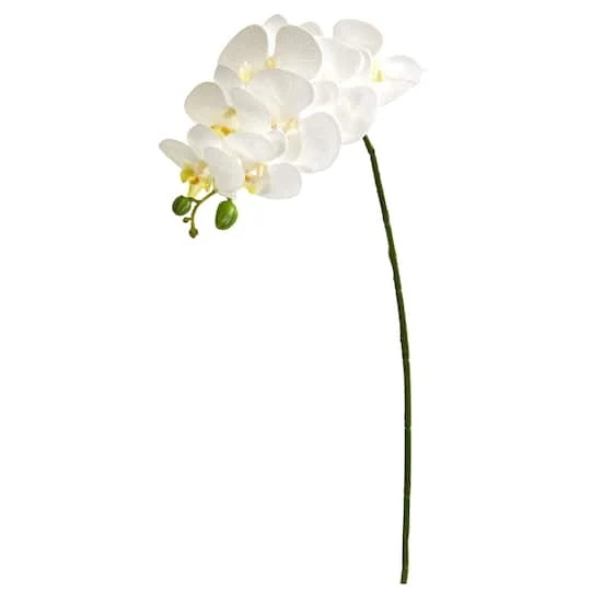 White Moth Orchid Stem, 6ct. 4 White Moth Orchid Stem, 6ct. - Image 2