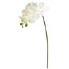 White Moth Orchid Stem, 6ct. -Michaels Shop D252210S 1