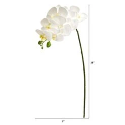 White Moth Orchid Stem, 6ct. 7 White Moth Orchid Stem, 6ct. -Michaels Shop D252210S 2