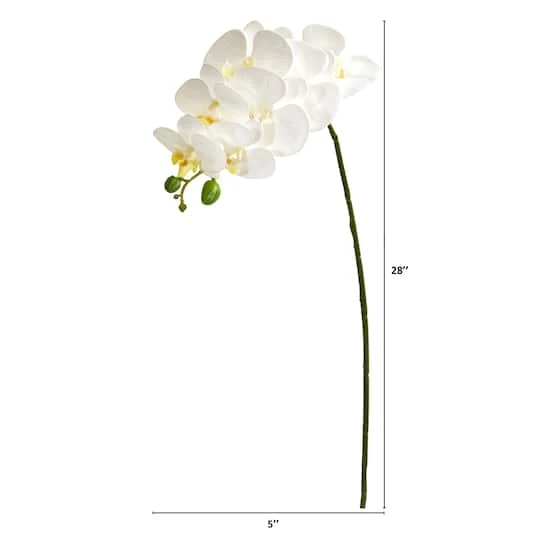 White Moth Orchid Stem, 6ct. 5 White Moth Orchid Stem, 6ct. - Image 3