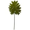Selloum Philo Single Leaf Stem, 12ct.