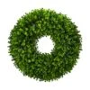25'' Eucalyptus Wreath 2 25'' Eucalyptus Wreath -Michaels Shop D252243S 11