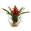 8" Red Tropical Bromeliad Arrangement In Angled Vase -Michaels Shop D262054S 1