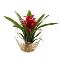 8" Red Tropical Bromeliad Arrangement In Angled Vase