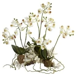 14" Mini Moth Orchid Set On Coral