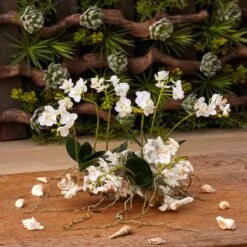 14" Mini Moth Orchid Set On Coral 9 14" Mini Moth Orchid Set On Coral -Michaels Shop D262151S 12