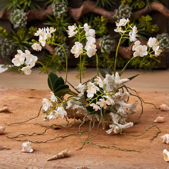 14" Mini Moth Orchid Set On Coral 6 14" Mini Moth Orchid Set On Coral - Image 4